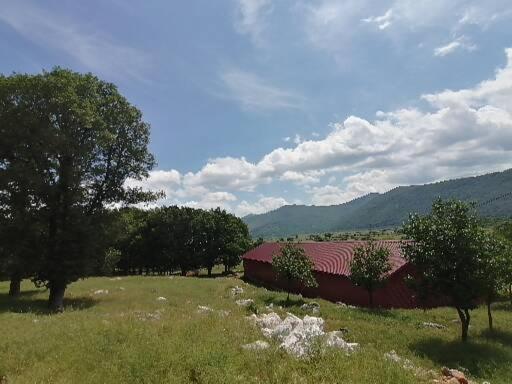 Farma & Apartmani Opg Sasa Delic Korenica Exterior photo