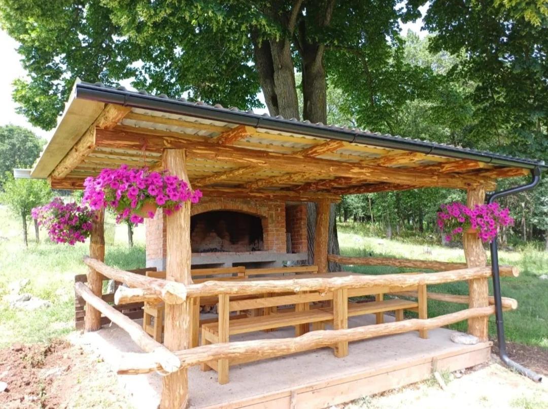 Farma & Apartmani Opg Sasa Delic Korenica Exterior photo